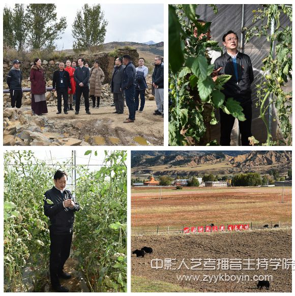 校黨委常委、副校長高中偉查看四川師范大學投資援建的蔬菜大棚生產基地和四川師范大學生態(tài)農場
