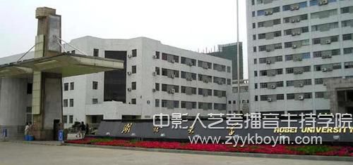 湖北大學.jpg